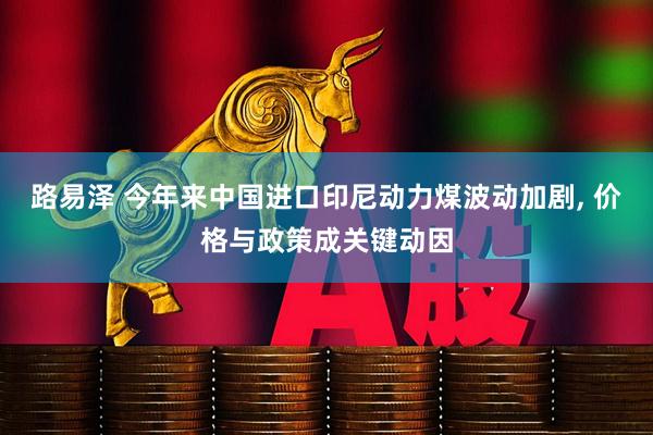 路易泽 今年来中国进口印尼动力煤波动加剧, 价格与政策成关键动因