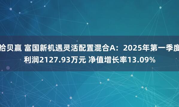 拾贝赢 富国新机遇灵活配置混合A：2025年第一季度利润2127.93万元 净值增长率13.09%