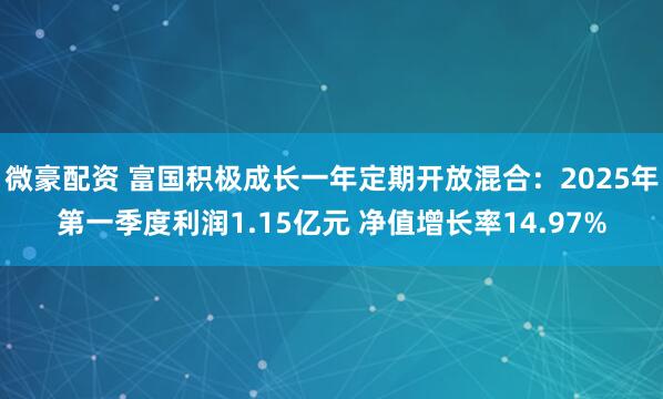 微豪配资 富国积极成长一年定期开放混合：2025年第一季度利润1.15亿元 净值增长率14.97%