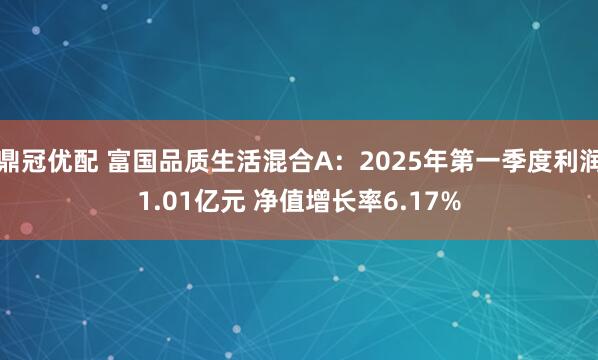 鼎冠优配 富国品质生活混合A：2025年第一季度利润1.01亿元 净值增长率6.17%