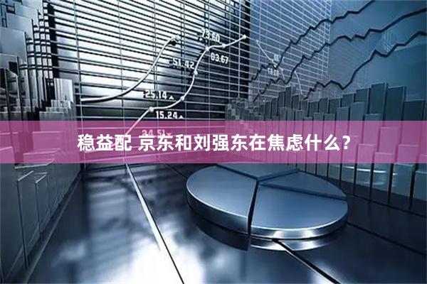稳益配 京东和刘强东在焦虑什么？