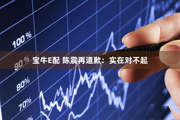宝牛E配 陈震再道歉：实在对不起