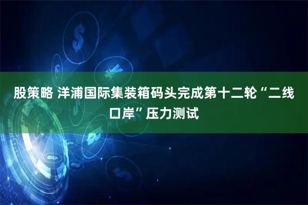 股策略 洋浦国际集装箱码头完成第十二轮“二线口岸”压力测试