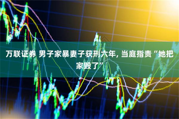 万联证券 男子家暴妻子获刑六年, 当庭指责“她把家毁了”