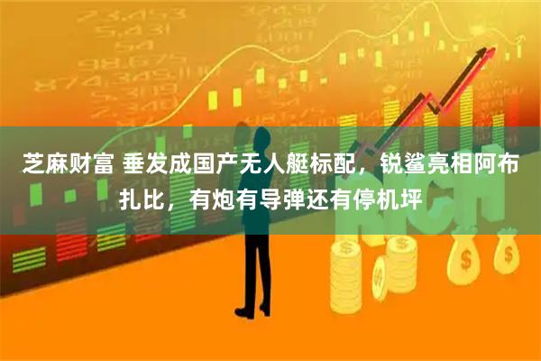 芝麻财富 垂发成国产无人艇标配，锐鲨亮相阿布扎比，有炮有导弹还有停机坪