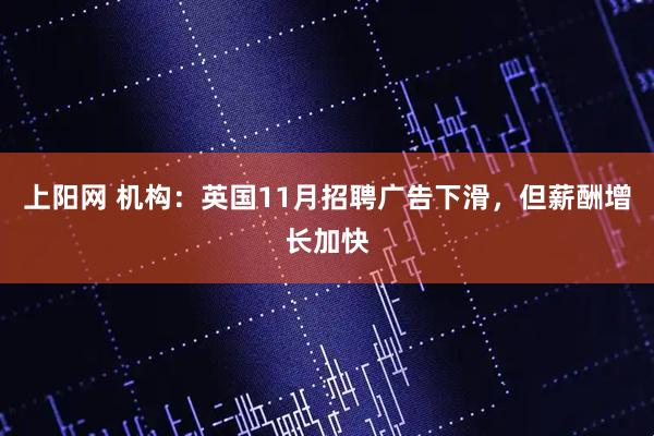 上阳网 机构：英国11月招聘广告下滑，但薪酬增长加快