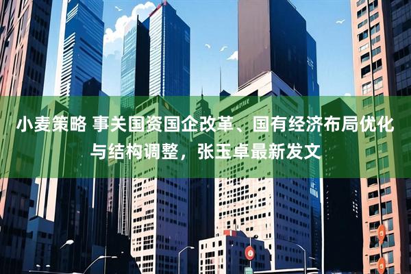 小麦策略 事关国资国企改革、国有经济布局优化与结构调整，张玉卓最新发文